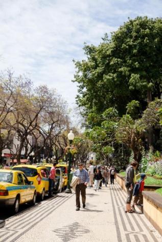Central Funchal Apartment - Garden - Free Parking & Ac Εξωτερικό φωτογραφία