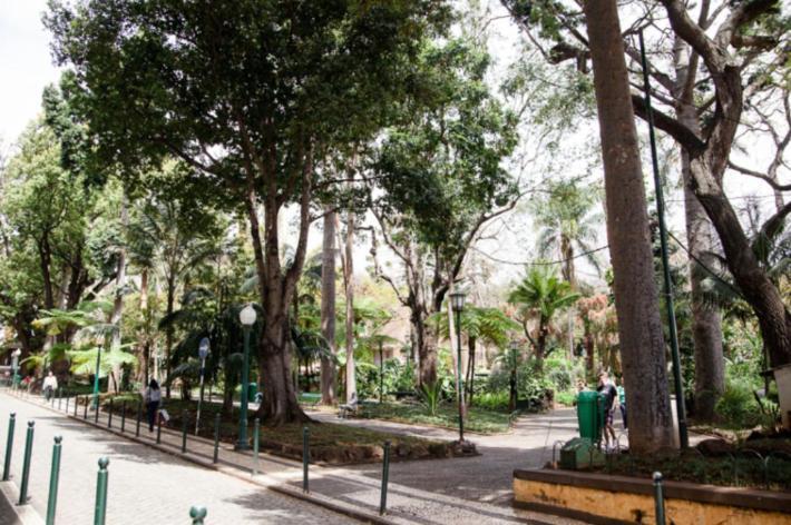 Central Funchal Apartment - Garden - Free Parking & Ac Εξωτερικό φωτογραφία