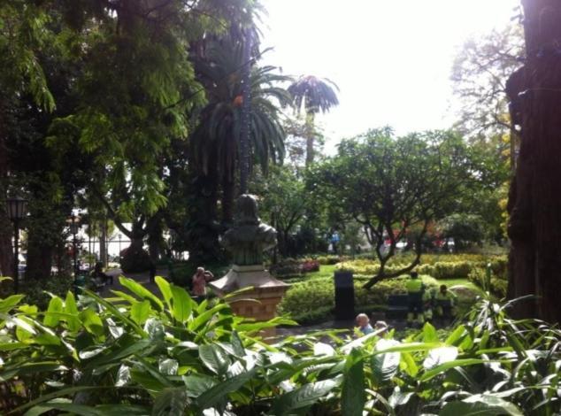 Central Funchal Apartment - Garden - Free Parking & Ac Εξωτερικό φωτογραφία
